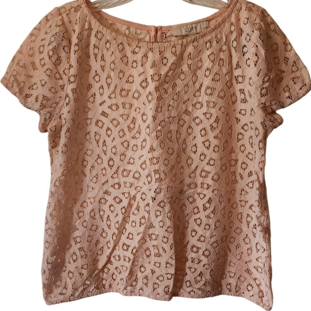 Loft Pink Lace Sheer Short Sleeve Bouse Petite Size Medium MP